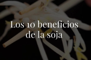 La soja es uno de los alimentos más completos que existen. Sigue la cultura oriental y déjate caer en sus redes.