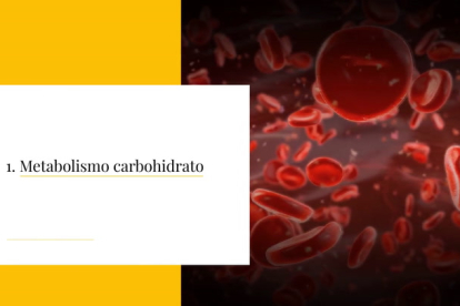 En lo que se refiere a la pérdida o mantenimiento del peso, más allá de la dieta o rutina de ejercicio debes saber el tipo de metabolismo que tienes pero, ¿por qué? Porque determina la velocidad de tu cuerpo para asimilar los alimentos y quemar calorías. Hay distintos tipos de metabolismo y cada uno tiene sus características determinados. Te contamos sus peculiaridades.