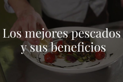 En este post nos vamos a ocupar de un alimento que nos aporta proteínas, de alto valor biológico y bajo en grasas; ese alimento no es otro que el pescado.