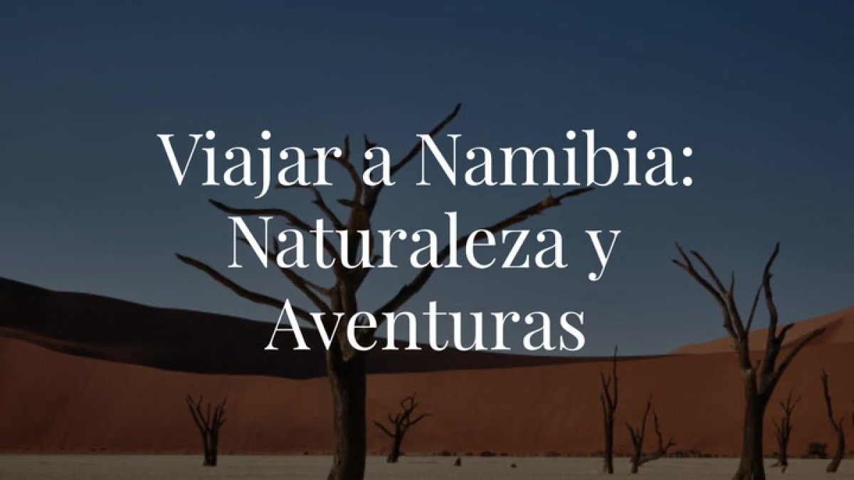 Si estás pensando hacer un viaje a un lugar diferente, te contamos los detalles de por qué Namibia es una buena opción. ¡Déjate sorprender!