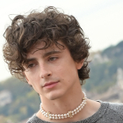 Actor Timothee Chalamet at photocall for Bones and All in Rome, Italy - 12 Nov 2022 *** Local Caption *** .