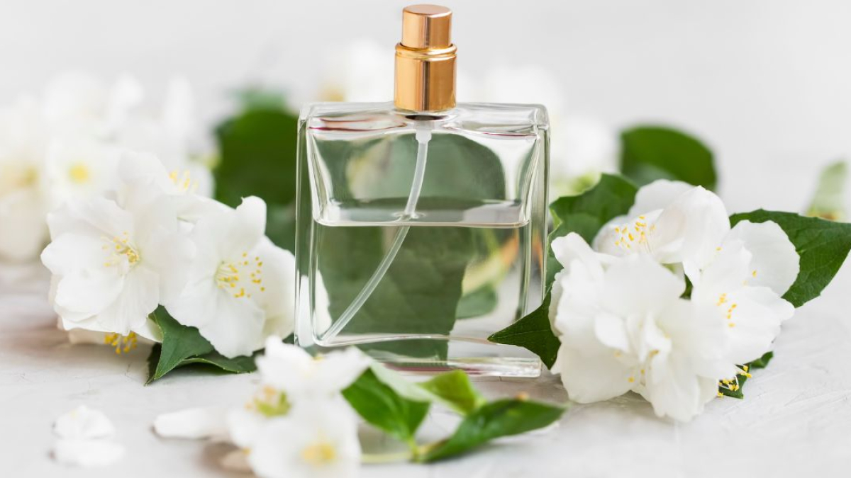 
         Los 15 Perfumes con Olor a Jazmín más femeninos y seductores 
    