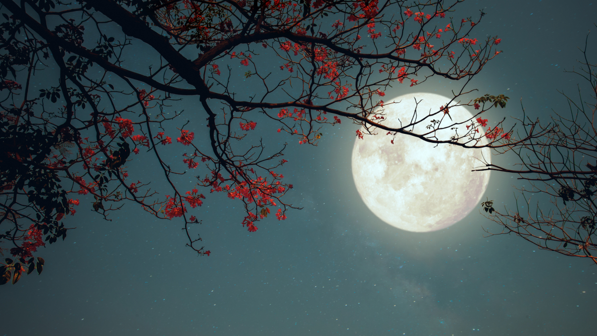 
         Luna llena de diciembre: ¿qué signos del zodiaco son los más afectados? 
    