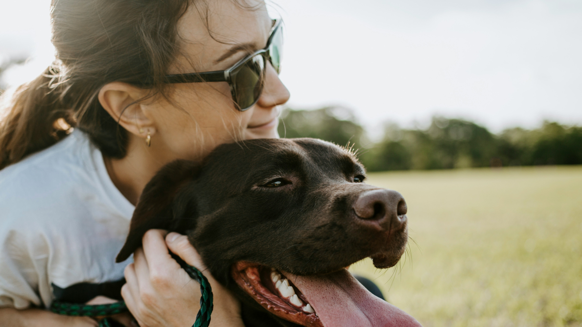 
        Tres beneficios demostrados de tener y vivir con perros según la ciencia
    