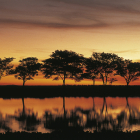 Sunset on a lagoon with trees, Paraguay.