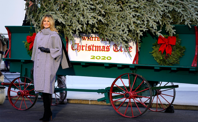 La primera dama de Estados Unidos, Melania Trump, durante la bienvenida a la llegada del árbol de Navidad de la Casa Blanca | Fuente: Gtres