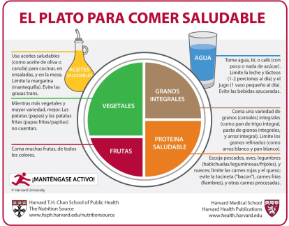 Infografía sobre cómo debería ser un plato para ser saludable según Harvard.